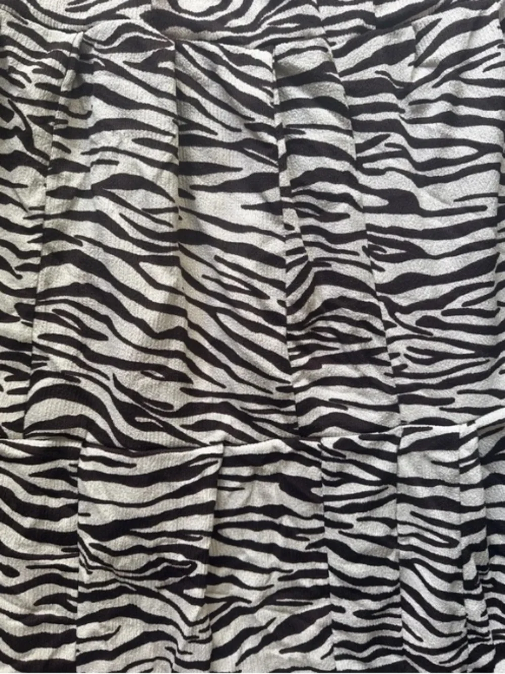 Zara Zebra-Print Maxi Skirt - Black & White